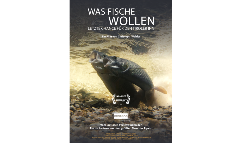 Was Fische wollen, Christoph Walder